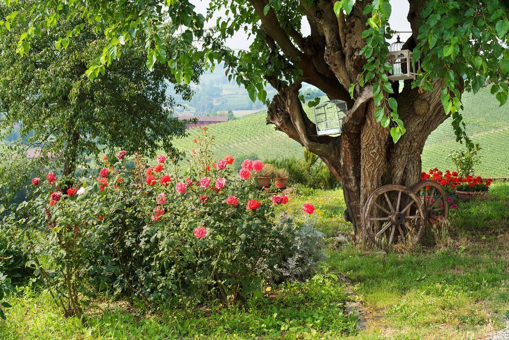 Agriturismo Albarossa Nizza Monferrato Exterior foto